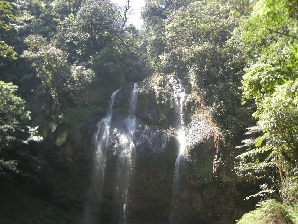 Posada Ammi คูเอตซาลันเดลโปรเกรโซ ภายนอก รูปภาพ